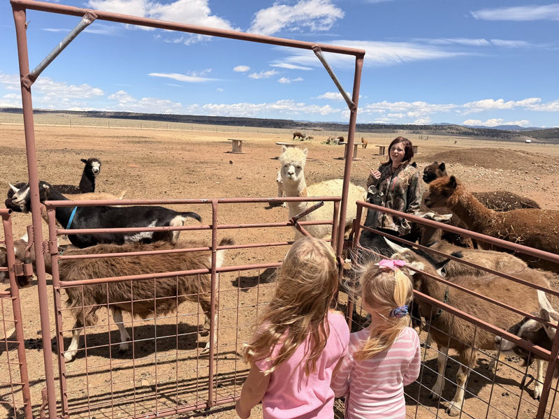 Two girls at a corral fence feeding goats while alpacas graze behind them on the Mountain Essentials farm in Fairplay, Colorado.